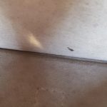 Anya Hindmarch Ephson Top Handle Bag Beige Leather/Matt Tumbled Calf And Gold Hardware #SKOT-2 - Image 35