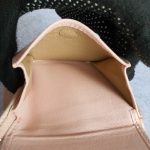 Bottega Veneta Small Wallet Light Peach Pink Lizard Skin With Silver Hardware #CEOL-86 - Image 19