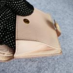 Bottega Veneta Small Wallet Light Peach Pink Lizard Skin With Silver Hardware #CEOL-86 - Image 21