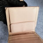 Bottega Veneta Small Wallet Light Peach Pink Lizard Skin With Silver Hardware #CEOL-86 - Image 11