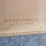 Bottega Veneta Small Wallet Light Peach Pink Lizard Skin With Silver Hardware #CEOL-86 - Image 10