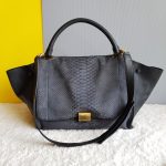Celine Trapeze Medium Black Leather with Snake Skin and Gold Hardware Bag #SSRS-1