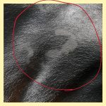 Celine Trapeze Medium Black Leather with Snake Skin and Gold Hardware Bag #SSRS-1 - Image 32