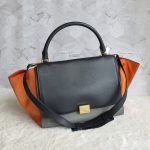 Celine Trapeze Tri-Color Leather With Suede And Gold Hardware Bag #GLLOO-7