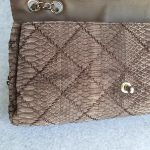 Chanel Flap Bag Brown Snake Skin With Silver Hardware #YCEY-1 - Image 21
