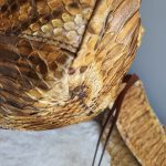 Prada BN1757 Pitone Drawstring Tote Gold Hardware #YECS-1 - Image 12