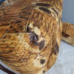 Prada BN1757 Pitone Drawstring Tote Gold Hardware #YECS-1 - Image 14