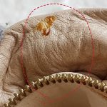 LV Olympe Nimbus GM Beige Leather With Gold Hardware #LCOK-2 - Image 24