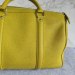 LV Sofia Coppola Yellow Calf Leather with Silver Hardware #TSLT-32 - Image 6