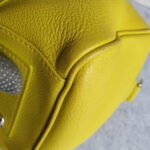 LV Sofia Coppola Yellow Calf Leather with Silver Hardware #TSLT-32 - Image 19