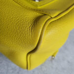 LV Sofia Coppola Yellow Calf Leather with Silver Hardware #TSLT-32 - Image 18