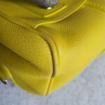 LV Sofia Coppola Yellow Calf Leather with Silver Hardware #TSLT-32 - Image 17