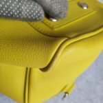 LV Sofia Coppola Yellow Calf Leather with Silver Hardware #TSLT-32 - Image 16