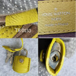 LV Sofia Coppola Yellow Calf Leather with Silver Hardware #TSLT-32 - Image 33