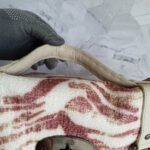 Mulberry Alexa Off white/Maroon Raffia with Leather and Black Hardware #TSEY-6 - Image 24