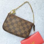 LV Mini Pochette Accessoires Damier Ebene Coated Canvas with Gold Hardware #GLSSU-2