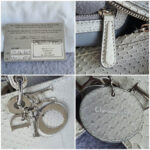Dior Lady Dior Large Off White/Grey Snake Skin with Silver Hardware #TOOK-7 - Image 21