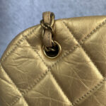 Chanel Mademoiselle Gold Aged Calfskin with Antique Gold Hardware #OLEK-2 - Image 20