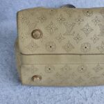 LV Cirrus PM Mahina Calf Leather with Gold Hardware Bag #OLKY-3 - Image 9