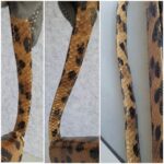 Dior Vintage Small Tote Brown/Black Leopard Print Snake Skin with Silver Hardware #GLOLU-4 - Image 16