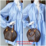 LV Ellipse PM Brown Monogram Canvas with Leather and Gold Hardware #OUEO-2 - Image 26