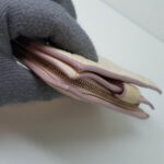 BV Wallet Light Pink Lambskin Gold Hardware #SUEO-6 - Image 7