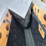 Dior Vintage Tote Brown/Black Snake Skin with Silver Hardware #GLRUY-3 - Image 24