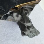 Gucci Vintage Small Bag Black Velvet with Gold Hardware #GLRUO-4 - Image 21