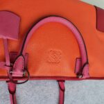 Loewe Amazona Tri-color Goat Skin with Silver Hardware #GLRUL-4 - Image 21