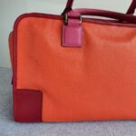 Loewe Amazona Tri-color Goat Skin with Silver Hardware #GLRUL-4 - Image 5