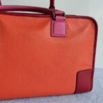 Loewe Amazona Tri-color Goat Skin with Silver Hardware #GLRUL-4 - Image 6