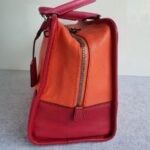 Loewe Amazona Tri-color Goat Skin with Silver Hardware #GLRUL-4 - Image 7