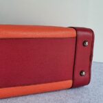 Loewe Amazona Tri-color Goat Skin with Silver Hardware #GLRUL-4 - Image 12