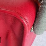 Loewe Amazona Tri-color Goat Skin with Silver Hardware #GLRUL-4 - Image 13