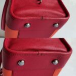 Loewe Amazona Tri-color Goat Skin with Silver Hardware #GLRUL-4 - Image 17