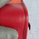 Loewe Amazona Tri-color Goat Skin with Silver Hardware #GLRUL-4 - Image 14