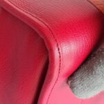 Loewe Amazona Tri-color Goat Skin with Silver Hardware #GLRUL-4 - Image 15