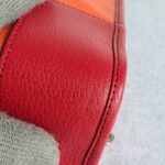 Loewe Amazona Tri-color Goat Skin with Silver Hardware #GLRUL-4 - Image 16