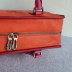 Loewe Amazona Tri-color Goat Skin with Silver Hardware #GLRUL-4 - Image 10