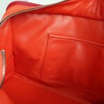 Loewe Amazona Tri-color Goat Skin with Silver Hardware #GLRUL-4 - Image 36