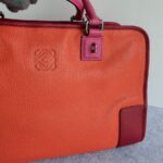 Loewe Amazona Tri-color Goat Skin with Silver Hardware #GLRUL-4 - Image 4