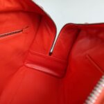 Loewe Amazona Tri-color Goat Skin with Silver Hardware #GLRUL-4 - Image 29