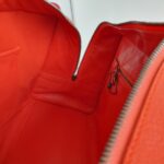 Loewe Amazona Tri-color Goat Skin with Silver Hardware #GLRUL-4 - Image 30