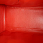 Loewe Amazona Tri-color Goat Skin with Silver Hardware #GLRUL-4 - Image 37