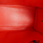 Loewe Amazona Tri-color Goat Skin with Silver Hardware #GLRUL-4 - Image 38