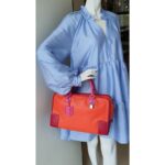 Loewe Amazona Tri-color Goat Skin with Silver Hardware #GLRUL-4 - Image 39