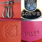 Loewe Amazona Tri-color Goat Skin with Silver Hardware #GLRUL-4 - Image 26