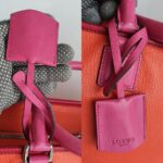 Loewe Amazona Tri-color Goat Skin with Silver Hardware #GLRUL-4 - Image 25