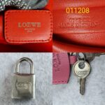 Loewe Amazona Tri-color Goat Skin with Silver Hardware #GLRUL-4 - Image 28