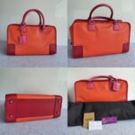 Loewe Amazona Tri-color Goat Skin with Silver Hardware #GLRUL-4 - Image 2